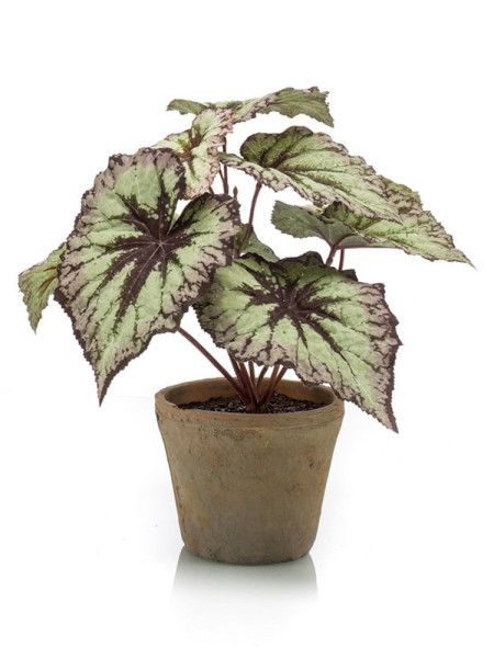 Artificial plant Begonia bush H25cm NKoop EEG