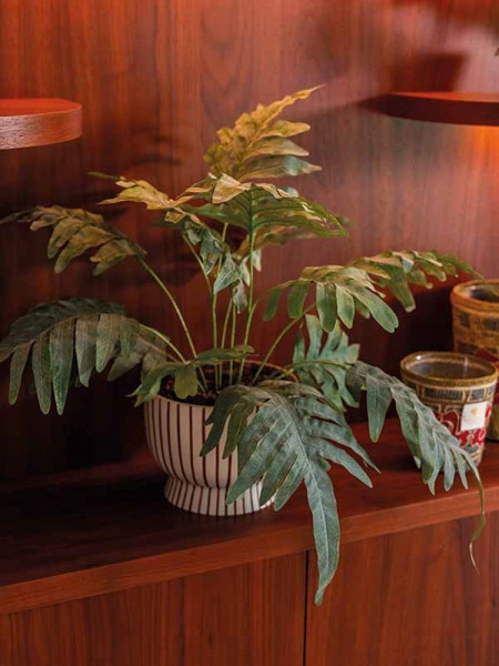 Искусственное растение Phlebodium bush / Папоротник Флебодиум H60cm NKoop EEG