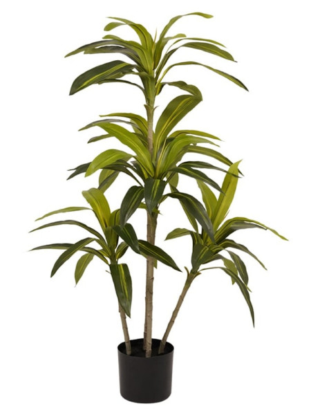 Artificial Plant Dracaena H115cm NKoop EEG