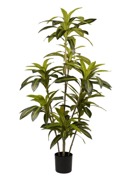 Artificial Plant Dracaena H150cm NKoop EEG