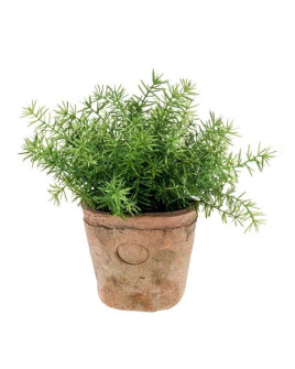 Штучний Аспарагус кущ H24cm