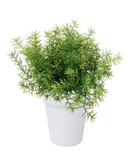 Штучний Аспарагус кущ H25cm