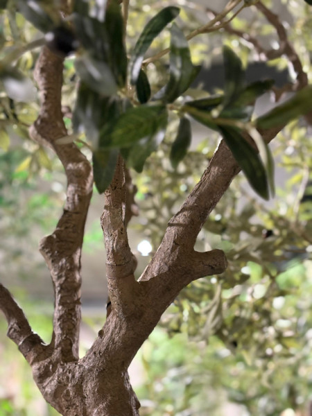 Штучне Оливкове дерево / Olive Tree H250cm NKoop EEG
