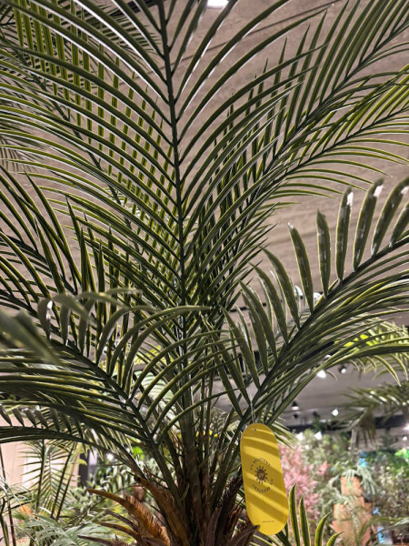 Artificial Plant Palm Tree H210cm NKoop EEG
