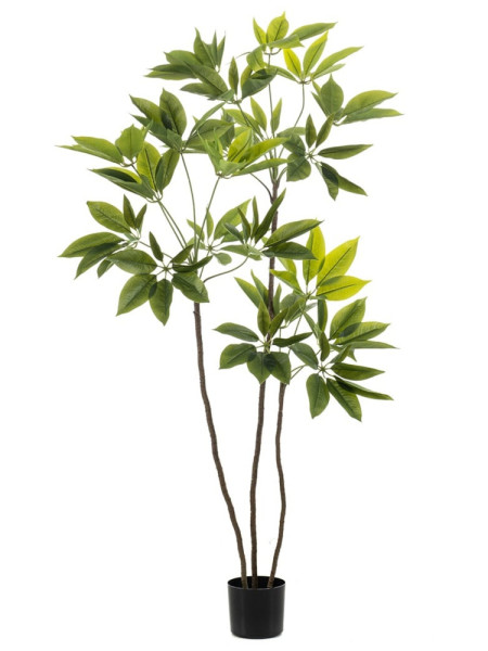 Artificial Schefflera Tree H150cm NKoop EEG