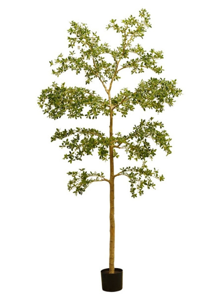 Artificial Bucida Deluxe Tree H290cm NKoop EEG