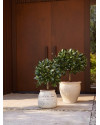 Artificial Laurel Tree Ball H65cm NKoop EEG