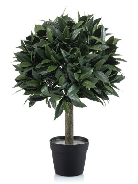 Artificial Laurel Tree Ball H65cm NKoop EEG