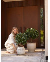 Artificial Laurel Tree Ball H65cm NKoop EEG