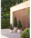Artificial Laurel Tree Pyramid H150cm NKoop EEG