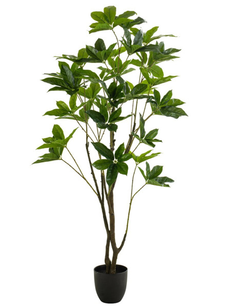 Искусственное дерево Пахира H150cm NKoop EEG