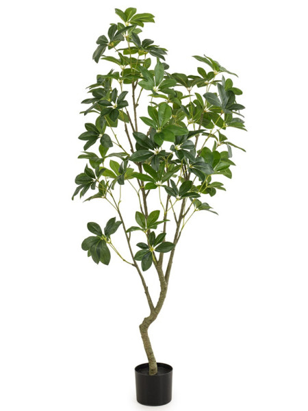 Artificial Schefflera Tree H150cm NKoop EEG