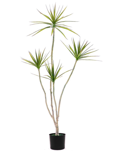 Artificial Plant Dracaena Marginata H150cm NKoop EEG