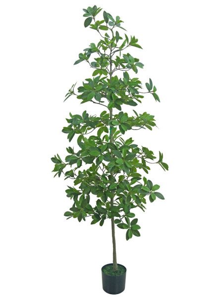 Искусственный Фикус Микрокарпа H180cm NKoop EEG