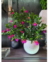 Искусственное растение Фуксия лиана H75cm NKoop FW