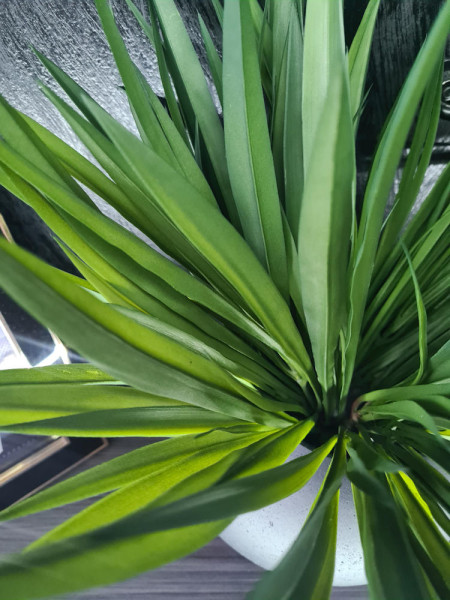 Искусственное растение Grass Liriope / Трава Лириопе H40cm NKoop FW