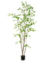 Искусственное дерево Энкиантус H210cm NKoop FW