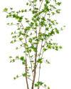 Искусственное дерево Энкиантус H210cm NKoop FW