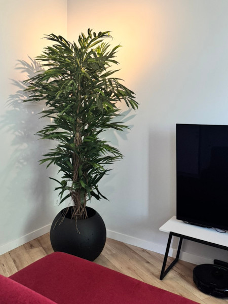 Искусственный фикус Лонгифолия лиана De Luxe H210cm NKoop FW