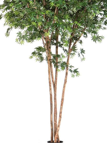 Искусственное дерево Клён гигантский H330cm NKoop FW