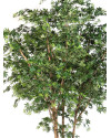 Искусственное дерево Клён гигантский H330cm NKoop FW