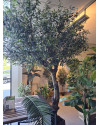 Искусственное Оливковое дерево / Olive Tree Natural H270cm NKoop FW