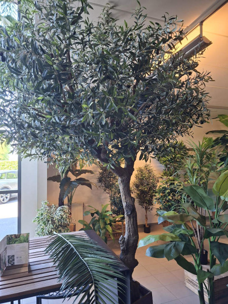 Искусственное Оливковое дерево / Olive Tree Natural H270cm NKoop FW