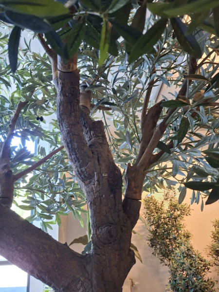 Искусственное Оливковое дерево / Olive Tree Natural H270cm NKoop FW