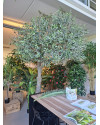 Искусственное Оливковое дерево / Olive Tree Natural H270cm NKoop FW