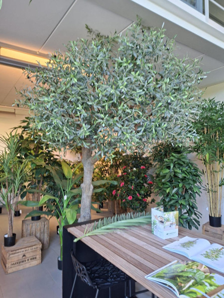 Искусственное Оливковое дерево / Olive Tree Natural H270cm NKoop FW