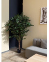 Искусственный Фикус Экзотика De Luxe H210cm NKoop FW