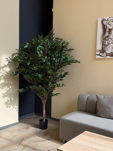 Искусственный Фикус Экзотика De Luxe H210cm NKoop FW
