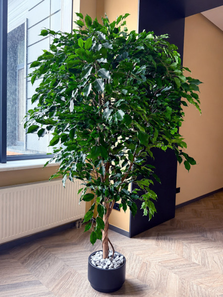 Искусственный Фикус Экзотика De Luxe H210cm NKoop FW