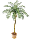 Искусственное растение Phoenix Palm De Luxe / Пальма Финиковая H225cm NKoop FW