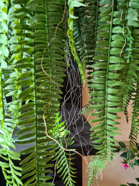 Искусственное растение Fern Nephrolepis hanging / Папоротник Нефролепис H110cm NKoop EEG