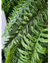 Искусственное растение Fern Nephrolepis hanging / Папоротник Нефролепис H110cm NKoop EEG