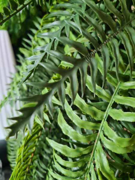 Искусственное растение Fern Nephrolepis hanging / Папоротник Нефролепис H110cm NKoop EEG