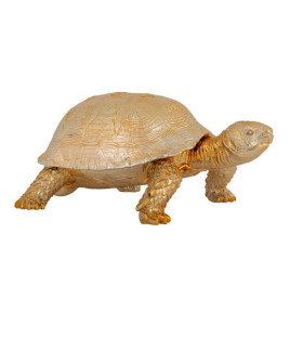 Скринька Turtle (арт.KB-0014)