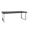 Обеденный стол Blackbone Silver 220x100cm (арт.7419) Richmond