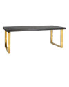 Dining Table Blackbone Gold 220x100cm (арт.7439) Richmond