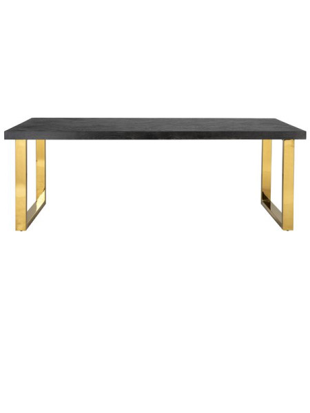 Dining Table Blackbone Gold 220x100cm (арт.7439) Richmond