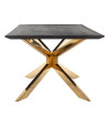 Dining Table Blackbone Gold 240x100cm (арт.7467) Richmond