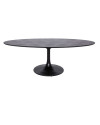Dining Table Blax Oval 230x100cm (арт.7546) Richmond
