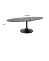 Dining Table Blax Oval 230x100cm (арт.7546) Richmond