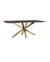 Dining Table Conrad 200x100cm (арт.9453) Richmond