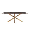 Dining Table Conrad 200x100cm (арт.9453) Richmond