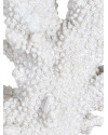 Статуетка Coral Adam H34cm (арт.CL-0006) Richmond