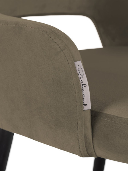 Chair Antony Shitake seven (арт.S4590) Richmond