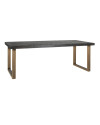 Dining Table Blackbone brass 220x100cm (арт.7379) Richmond