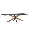 Dining Table Blackbone brass 260x100cm (арт.7382) Richmond